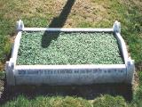 image of grave number 39530